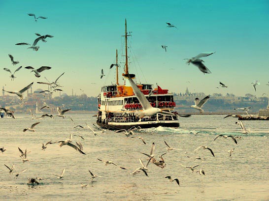 Bosphorus Cruise in Instanbul