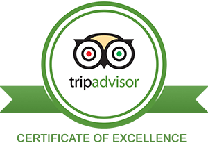 Trip Advisor Logo